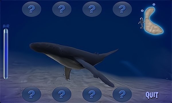 座头鲸模拟器3D正版下载安装