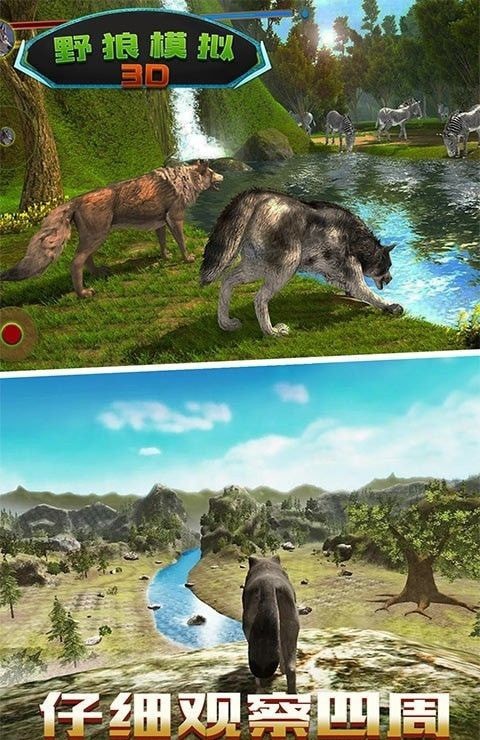 野狼模拟3D正版下载安装