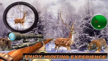 鹿狩猎野生动物狩猎正版下载安装