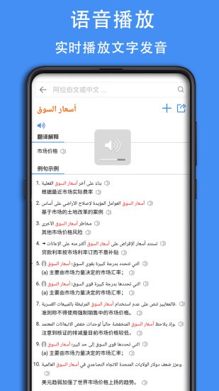 阿拉伯语词典正版下载安装