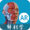 解剖学AR