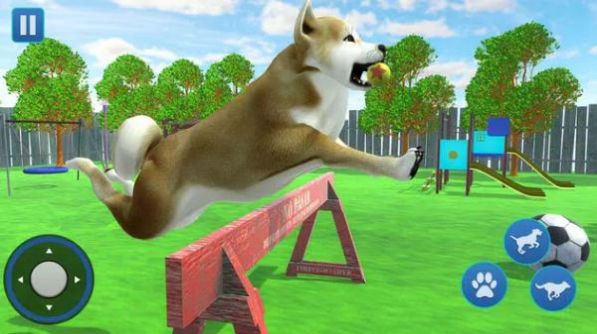 狗生活模拟器3D正版下载安装