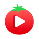 番茄视频直播